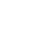 Brains and Hammers